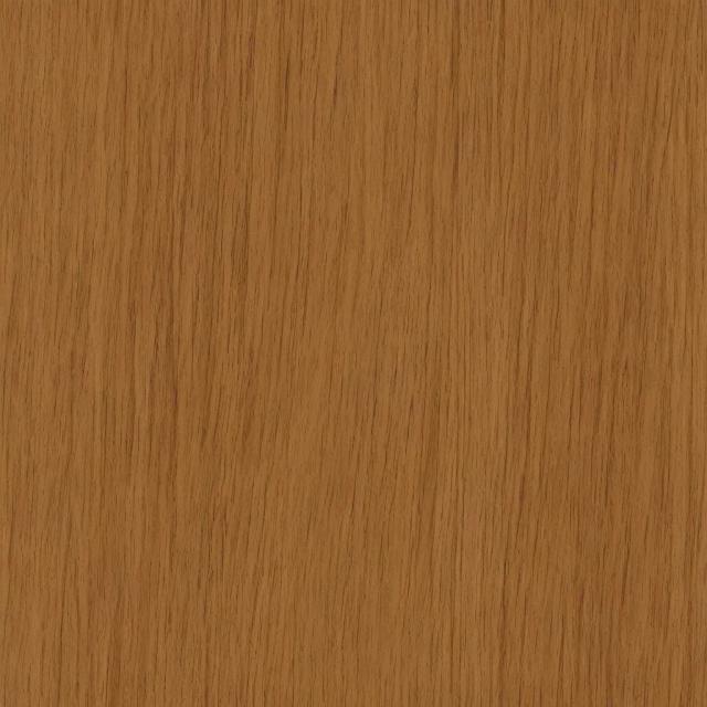 Random Animal 11