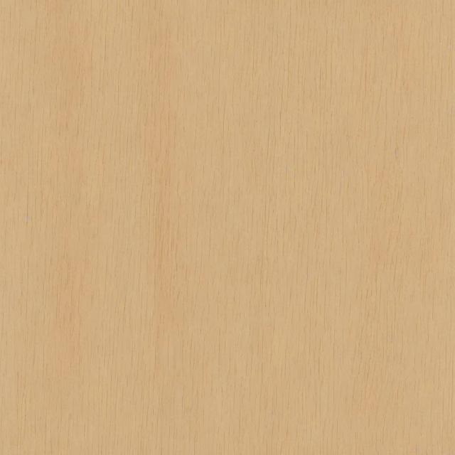Random Animal 17