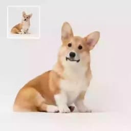 Image to Video placeholder