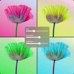 Image HSL placeholder