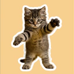 Image Outline placeholder